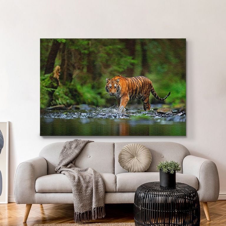 pinakas-se-kamva-orizontios-saloni-r-03513-amur-tiger-walking-water-dangerous-animal