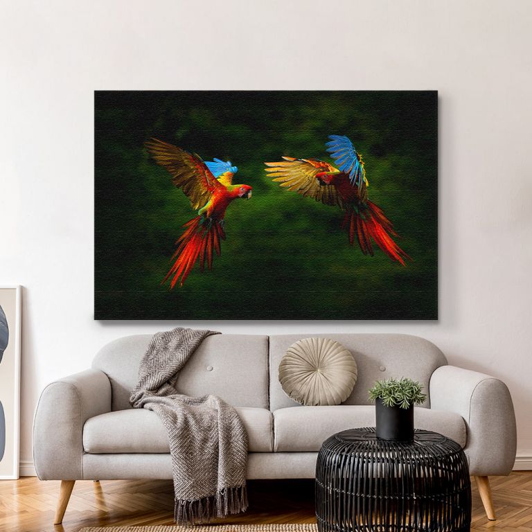 pinakas-se-kamva-orizontios-saloni-r-03562-hybrid-parrots-forest-macaw-parrot-flying