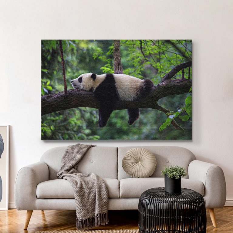 pinakas-se-kamva-orizontios-saloni-r-03588-panda-bear-sleeping-on-tree-branch