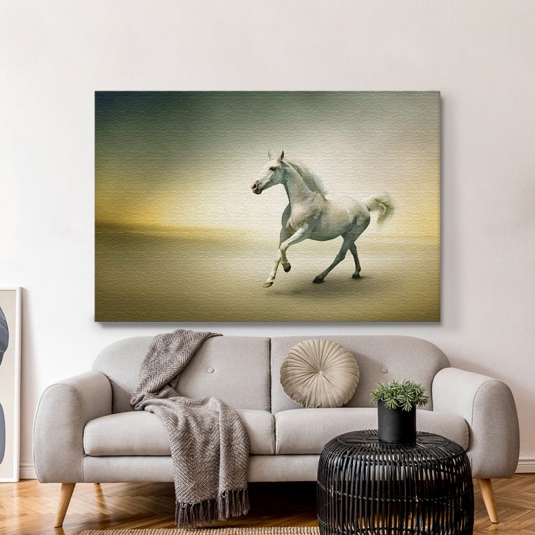 pinakas-se-kamva-orizontios-saloni-r-03628-white-horse-motion-108319508