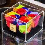 myikona-forever-rose-red-quadruple-rainbow-a