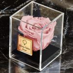 myikona-forever-rose-pink-single-sq-e-6