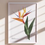 frame-poster-white-des_-00625.jpg