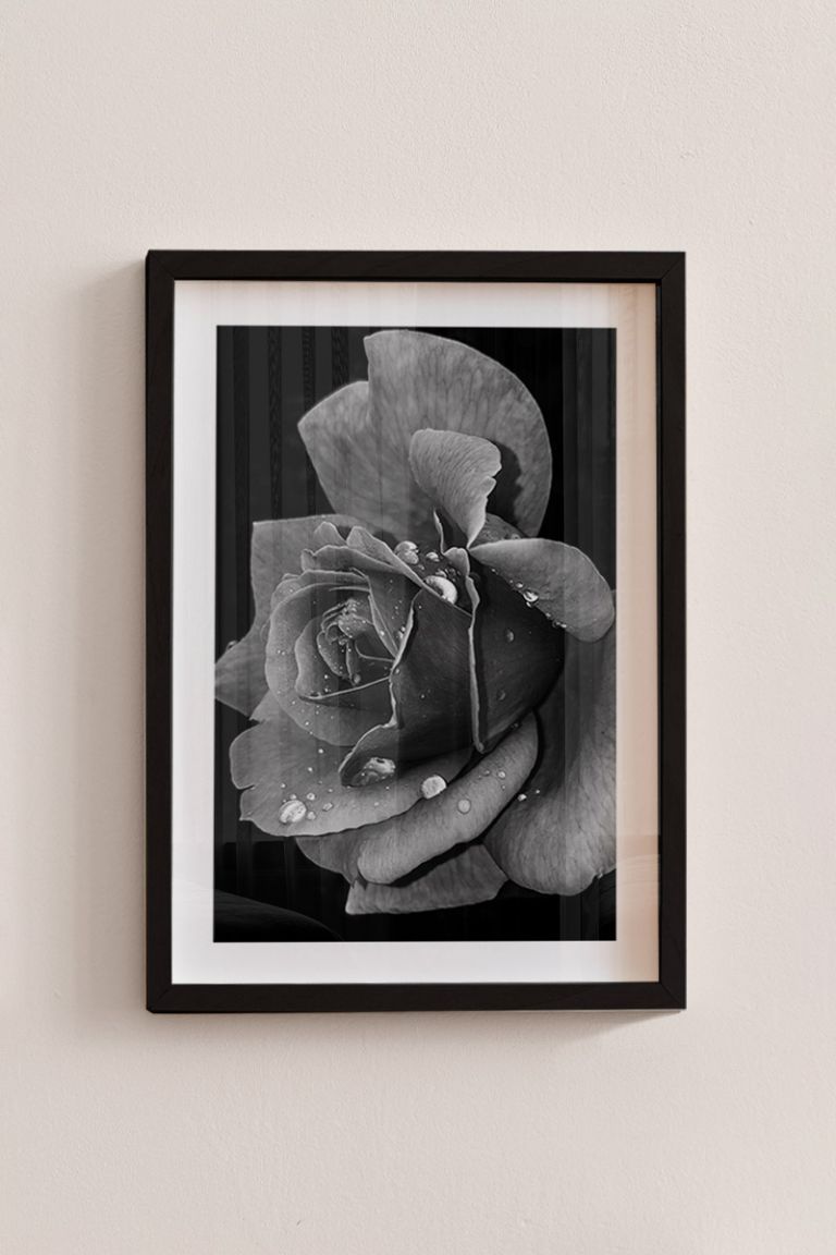 myikona-poster-frame-color-black_-01226.jpg