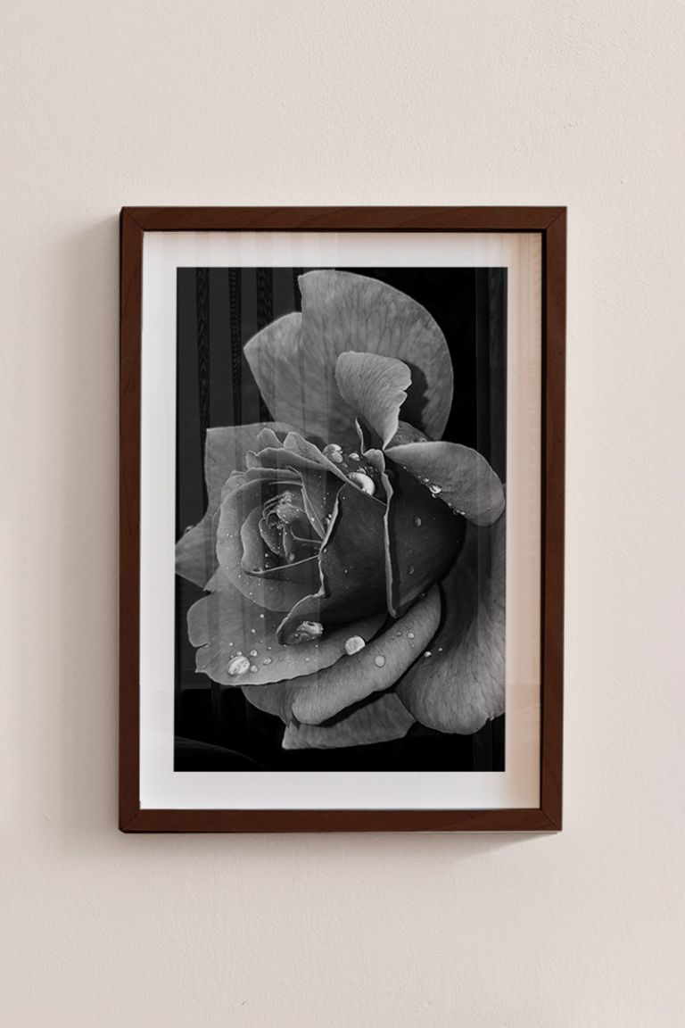 myikona-poster-frame-color-walnut_-01226.jpg