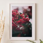 poster-frame-white-qqlo_-01003.jpg