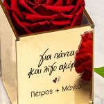 Ρενέ - Παντοτινά Τριαντάφυλλα, Forever Red Rose Mirror